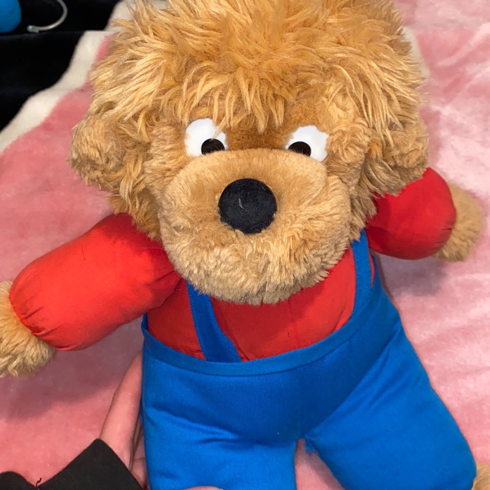 Vintage 1993 Berenstein Bears Brother Bear Stuffed Animal